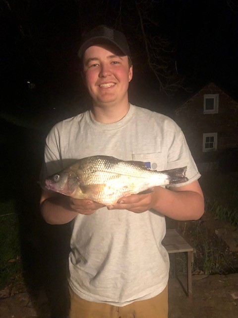 Christopher Barrett White Perch 1.jpg